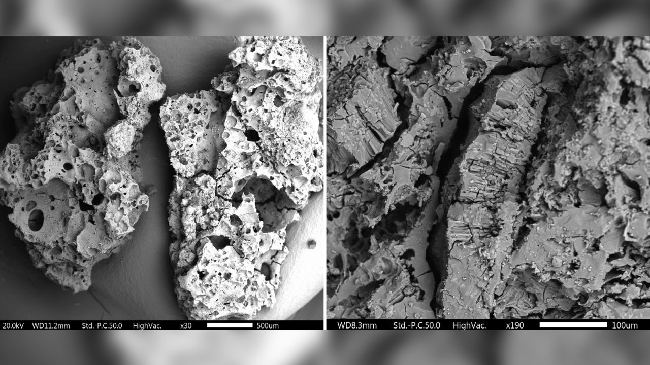 galette-neandertal-70000-ans