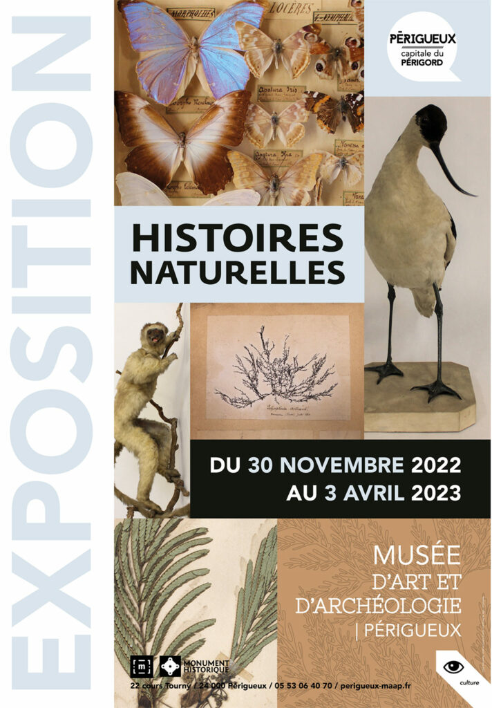 histoires-naturelles-exposition-maap-712x1024