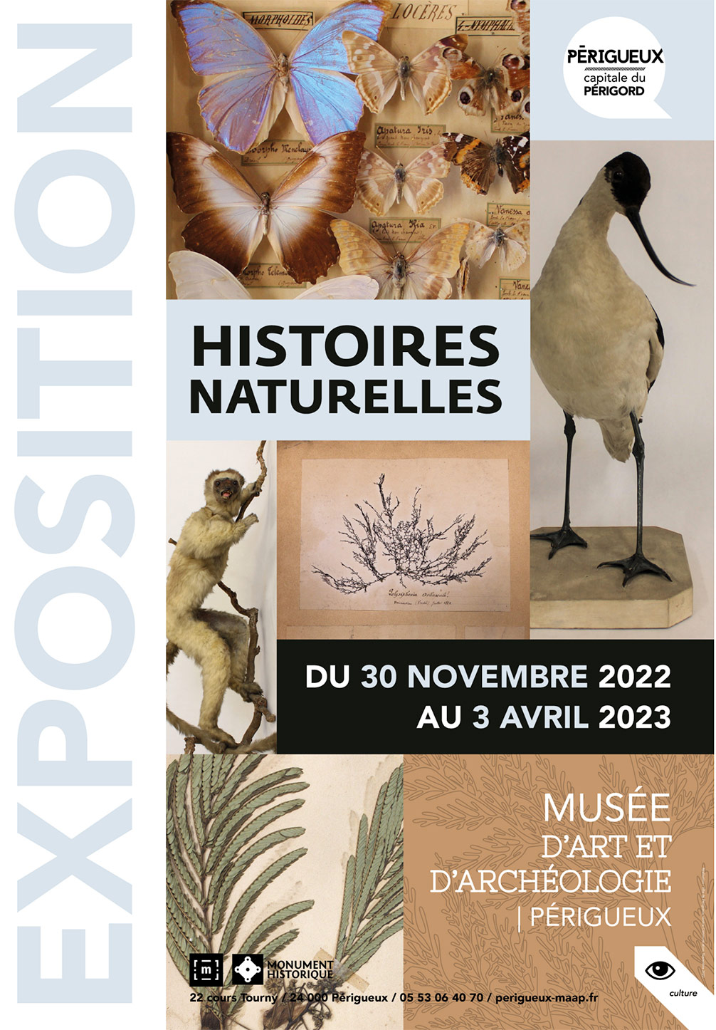 Histoires naturelles