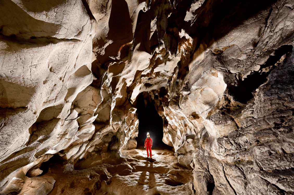 Les chauves-souris : architectes des grottes et mémoire des hommes