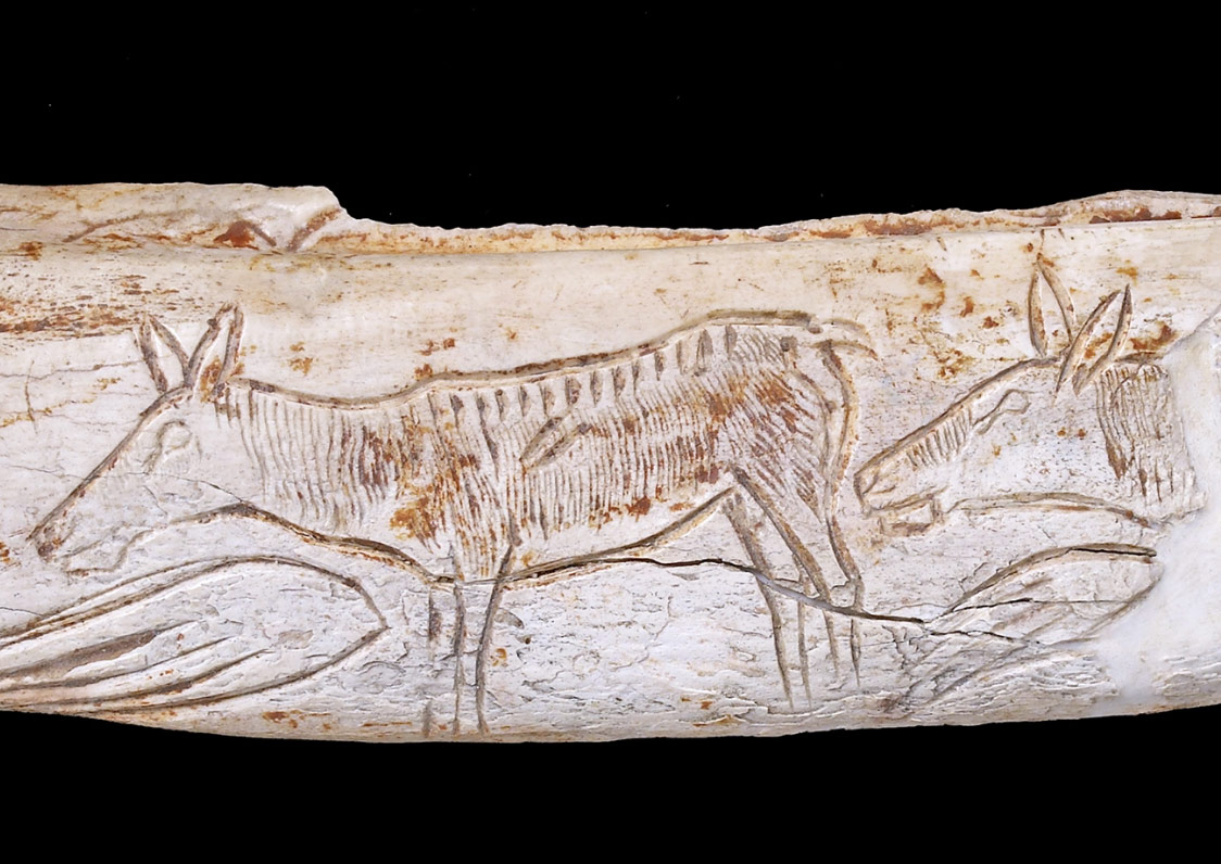Les biches du Chaffaud et la découverte de l’art préhistorique