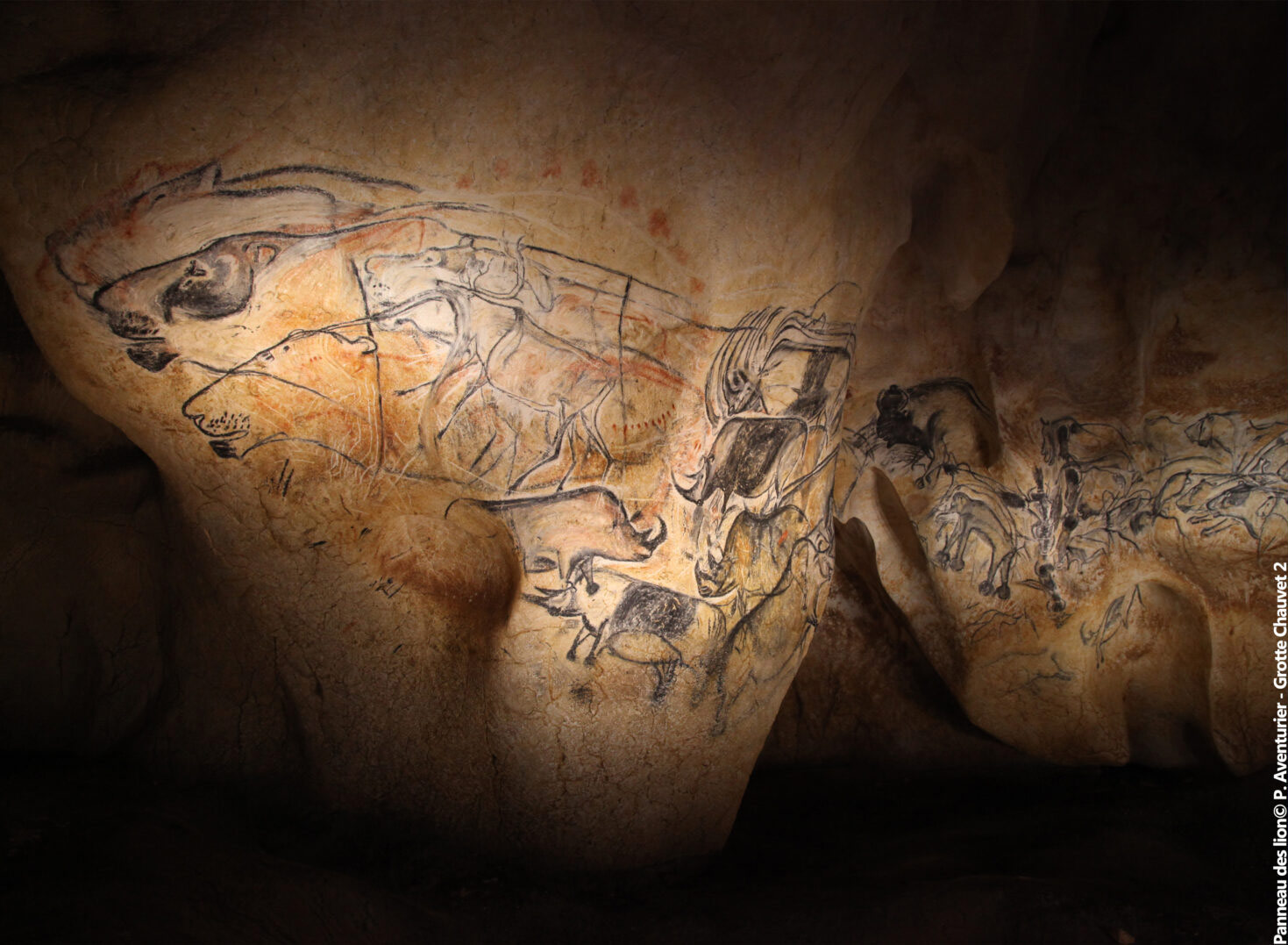 Aux origines de l’art : la grotte Chauvet