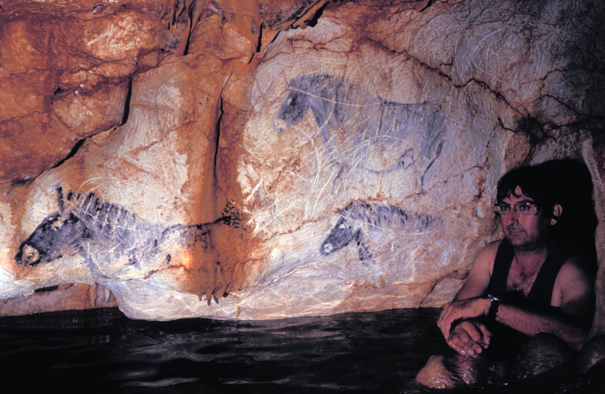 La grotte Cosquer, une plongée dans la Préhistoire…