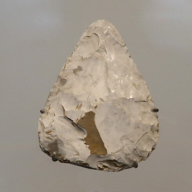 Moustérien Hominides