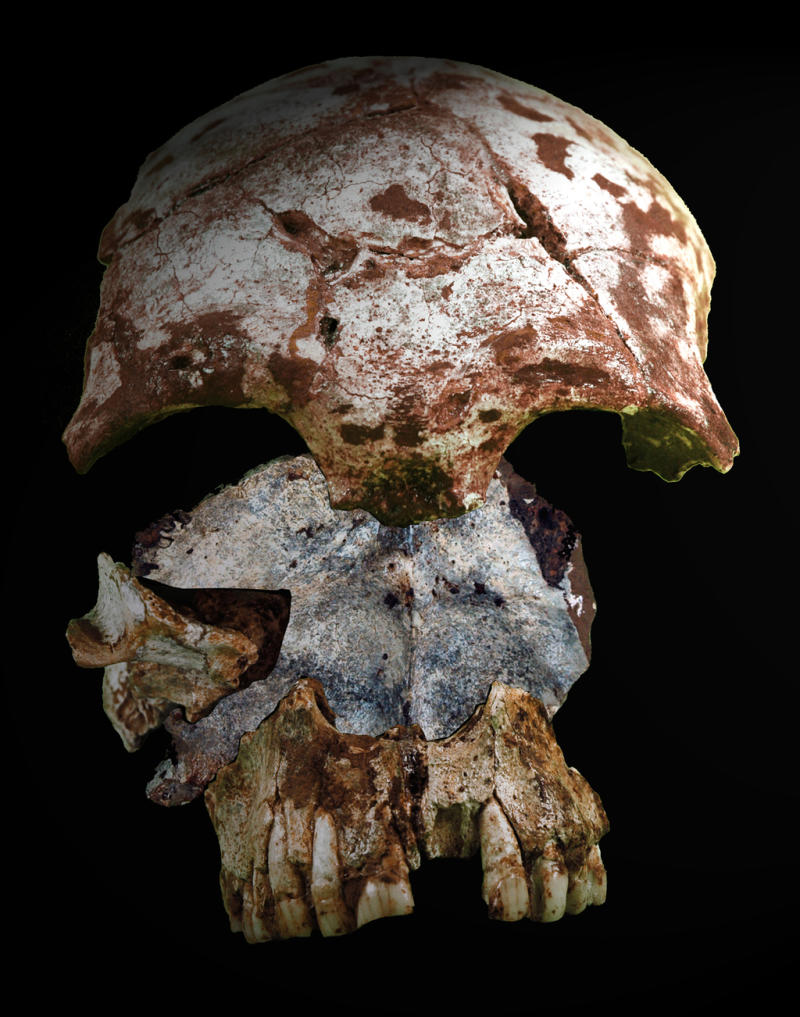 Deux fossiles trouvés au Laos attestent d’une diversité humaine ancienne