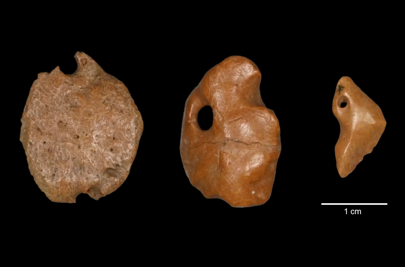 Un pendentif sculpté dans un os de paresseux au Brésil, daté de 27 000 ans.