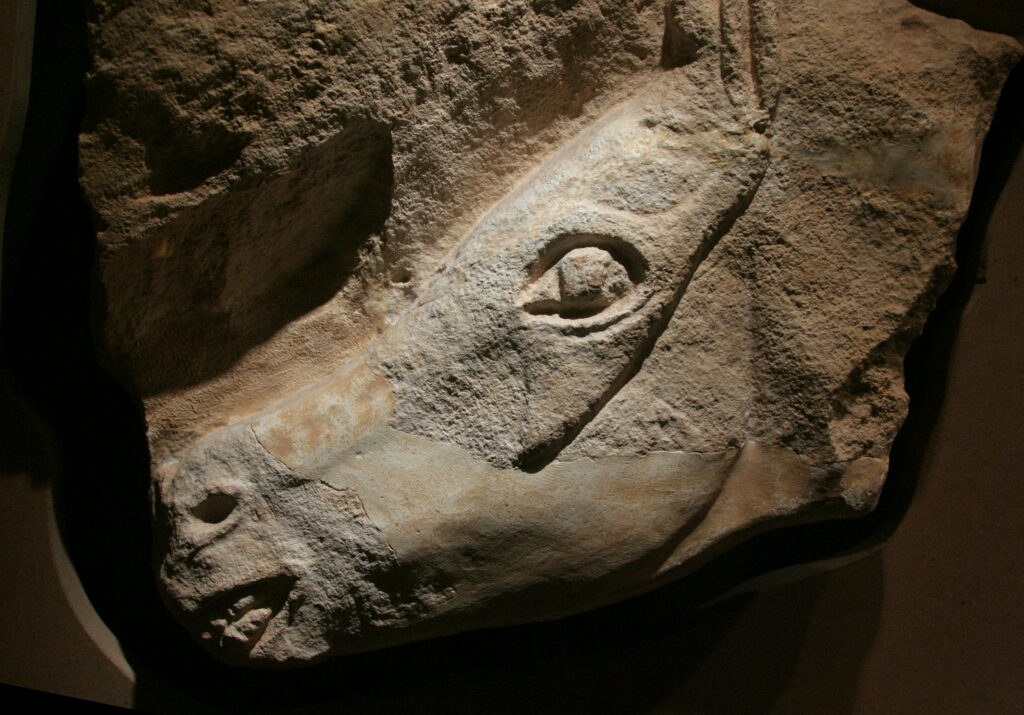 Sculpture tête de cheval Cave Taillebourg - Roc-aus-sorciers 