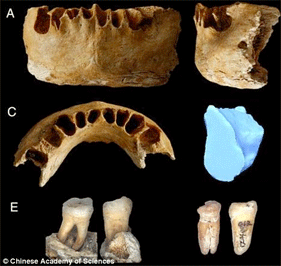 Des premiers hommes en Chine il y a 100 000 ans ?