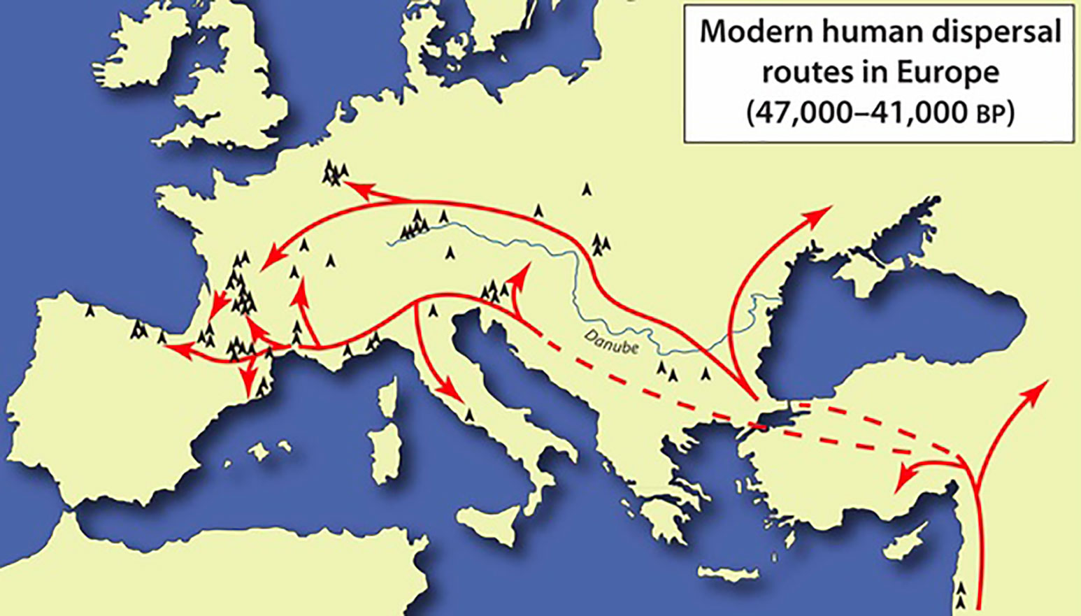 Disparition de Néandertal, dix fois moins nombreux que Sapiens ?