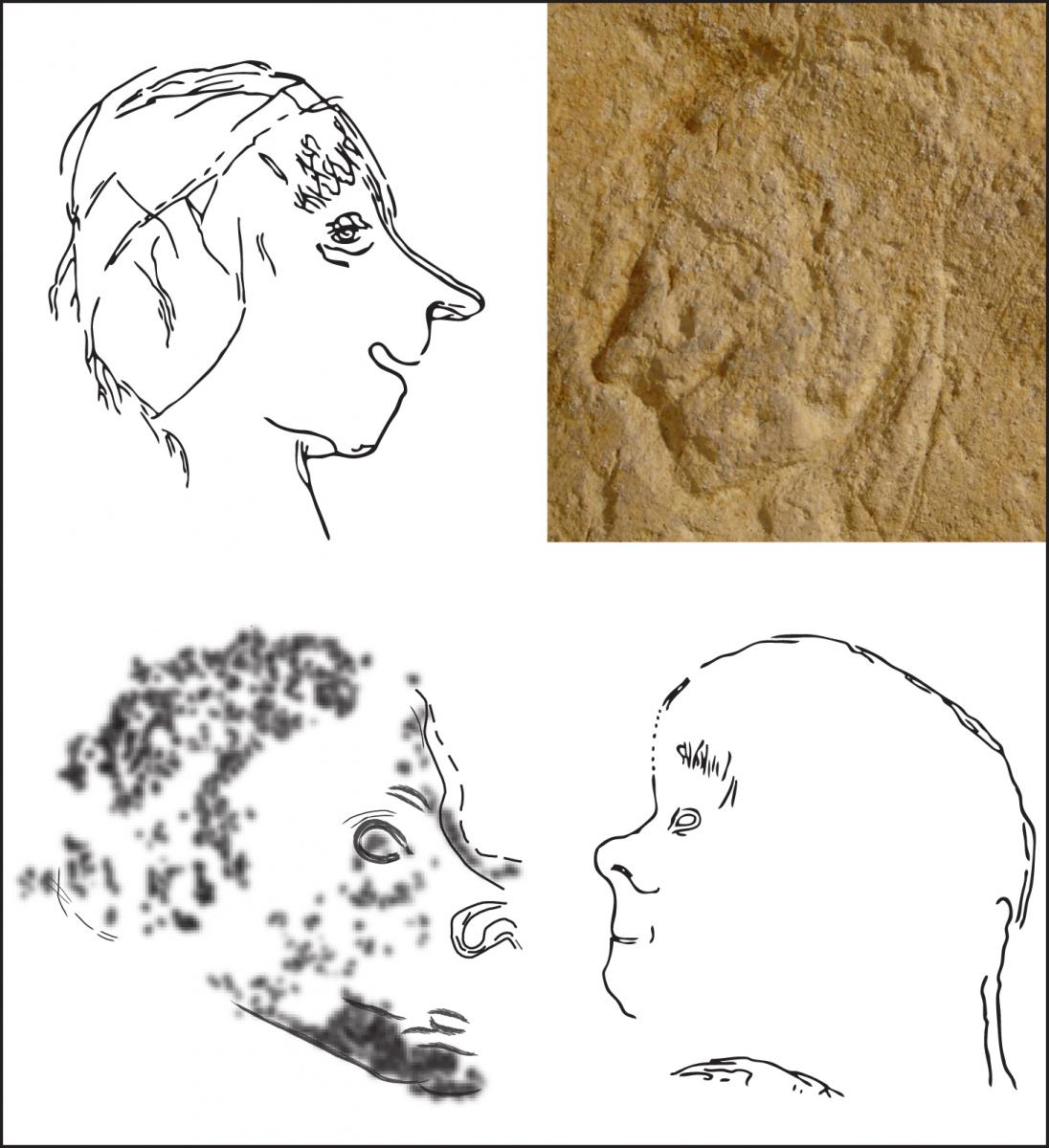 La figuration humaine dans l’art paléolithique