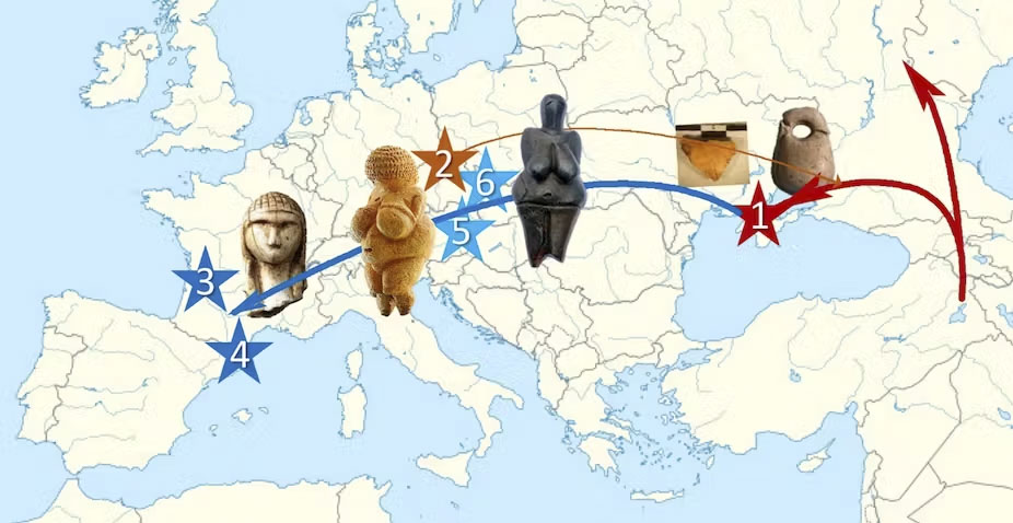 Homo sapiens : comment deux crânes réécrivent l’histoire de son apparition en Europe
