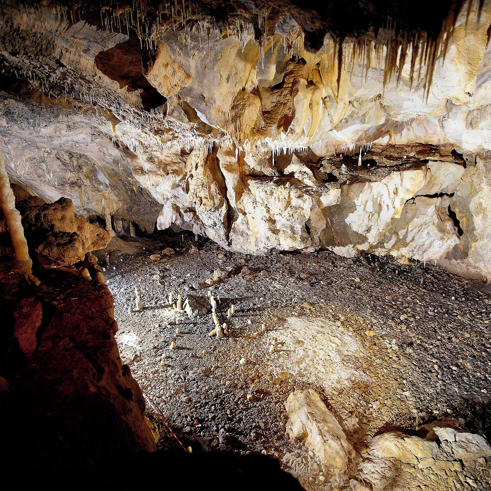 Grotte de La Garma : une occupation au magdalénien