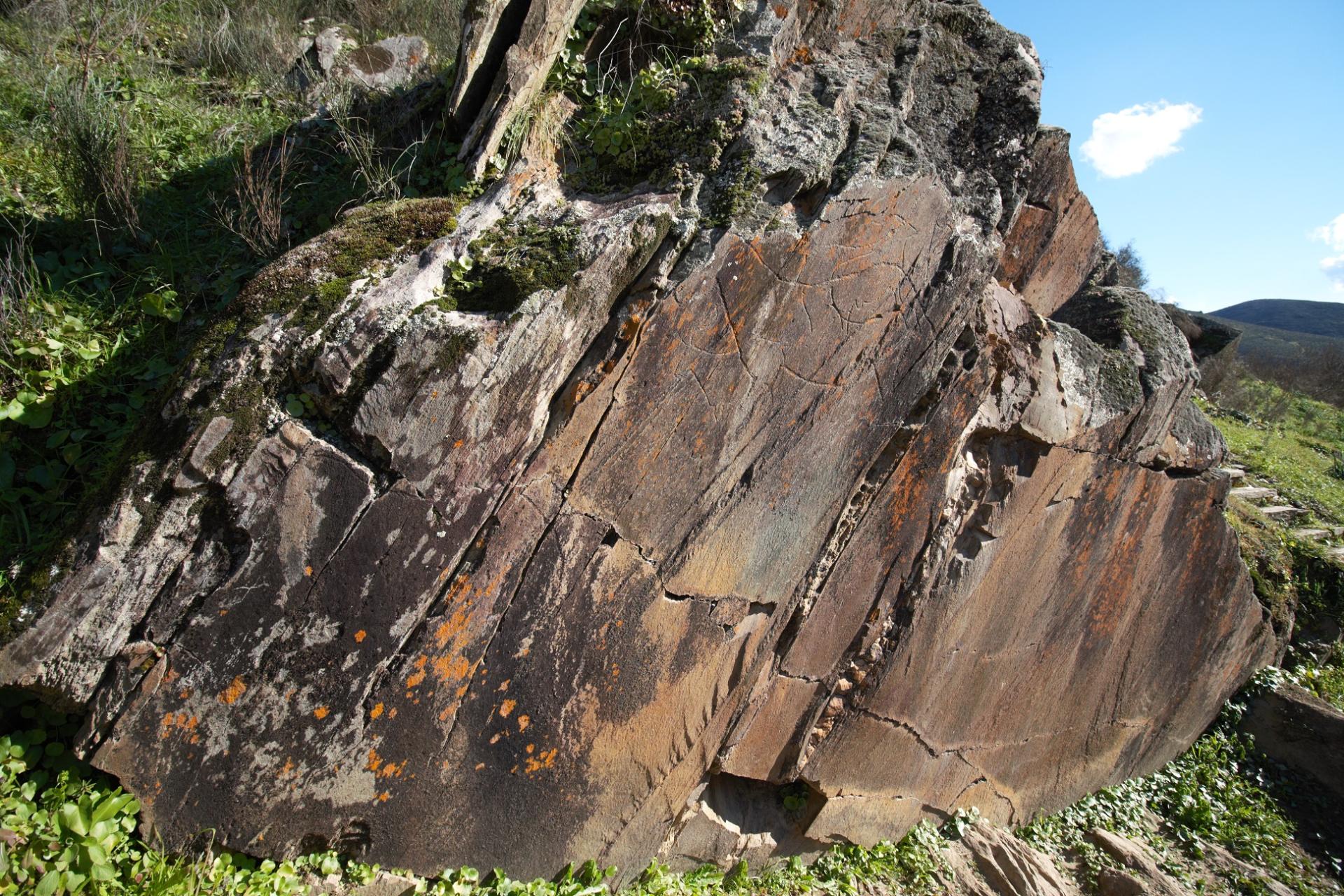 Pleine lumière sur les artistes paléolithiques de la Vallée du Côa