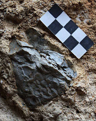 Le plus ancien foyer en Europe il y a 800 000 ans