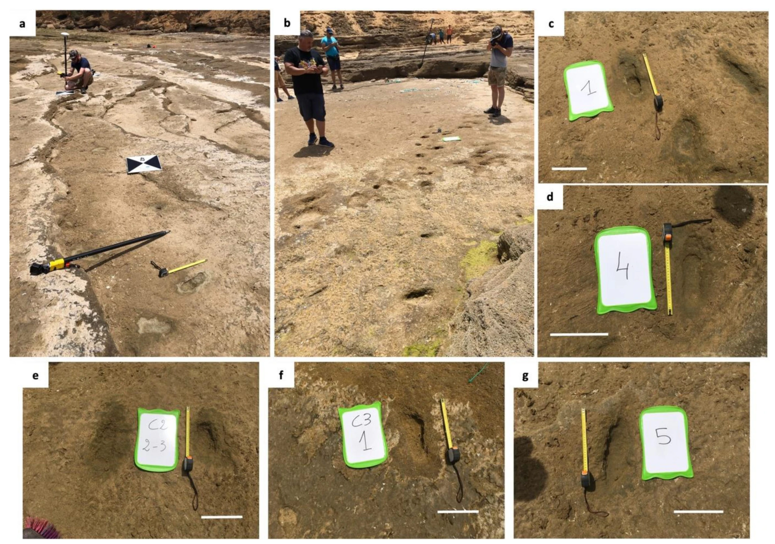 Il y a 100 000 ans sur la plage de Larache au Maroc, des Homo sapiens ont laissé des traces de pas