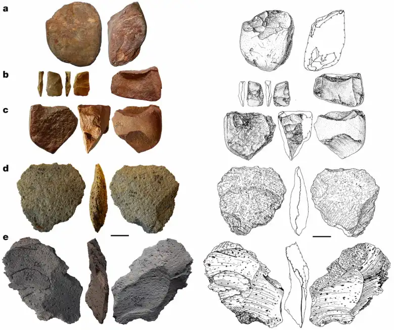 Des outils de 1,4 millions d’années en Europe