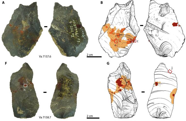 La colle paléolithique créée et utilisée par Néandertal