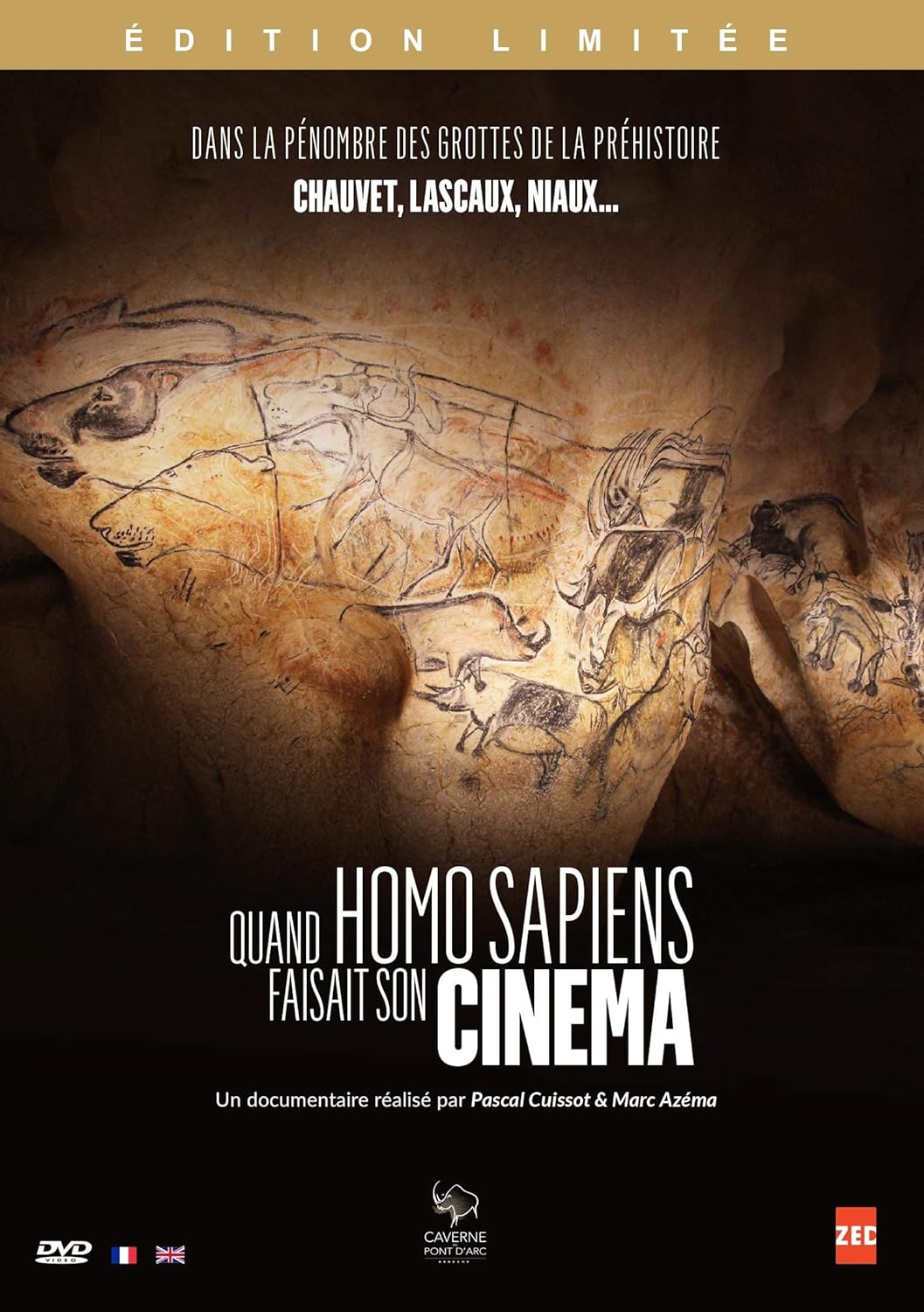 Quand Homo sapiens faisait son cinéma