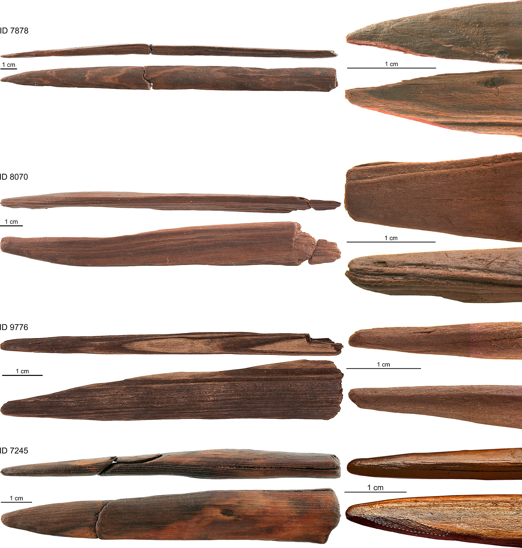 Schöningen, plusieurs techniques pour le travail du bois au paléolithique
