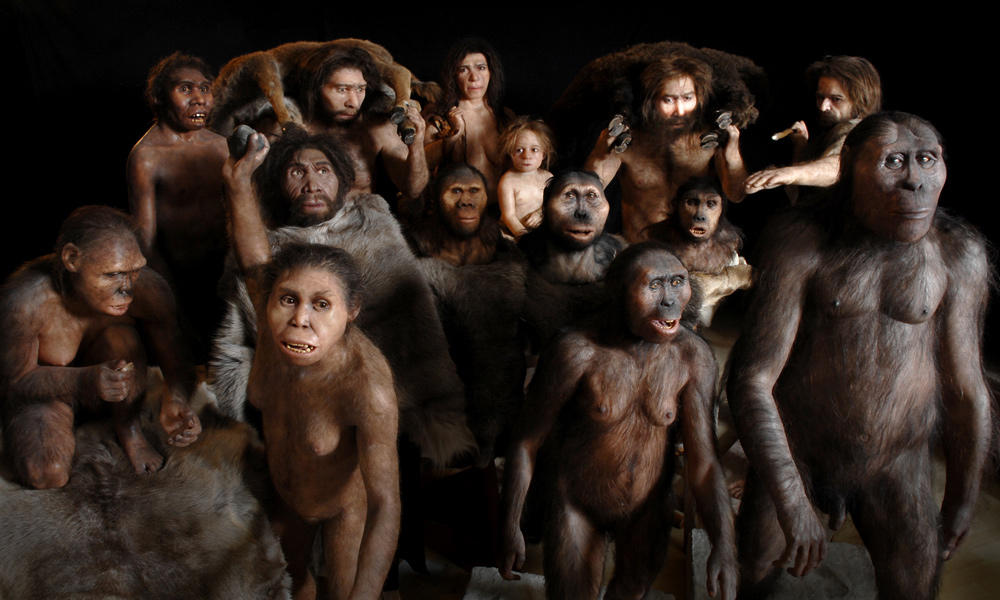 50 nuances d’Hommes-Singes, où en sommes-nous avec les reconstitutions des humains préhistoriques ?