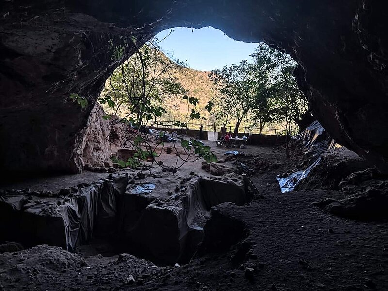 Plus de plantes et moins de viande au menu des anciens chasseurs-cueilleurs du site de Taforalt au Maroc