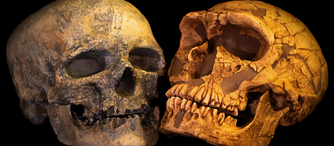 La rencontre entre Néandertal et Sapiens racontée par leurs génomes