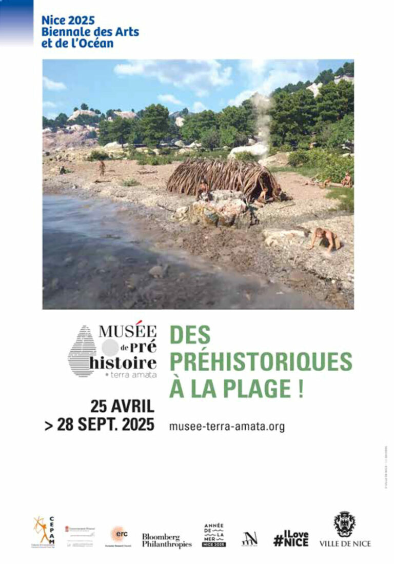Catalogue des collections préhistoriques et protohistoriques. main image 1