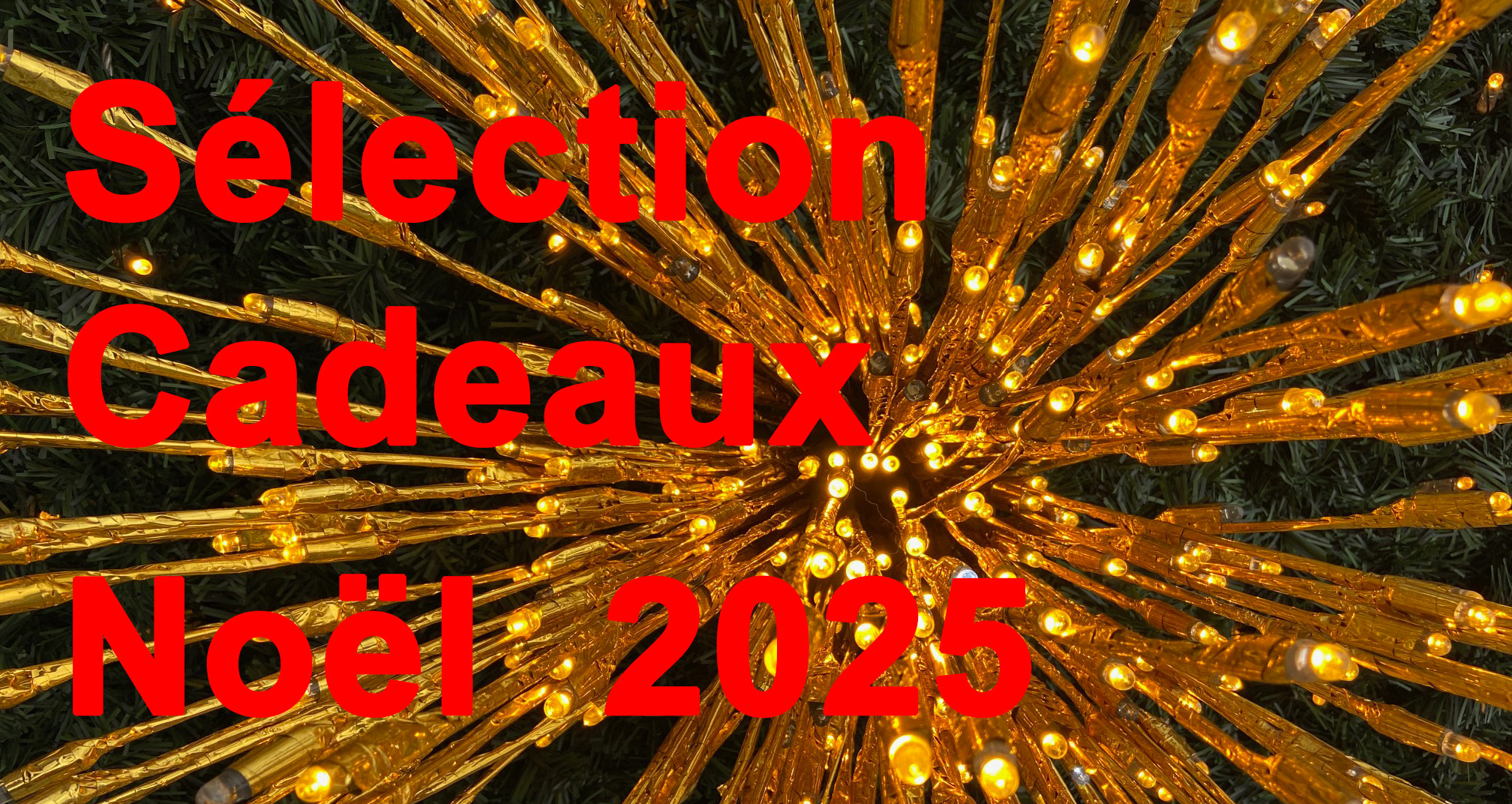 Livres de préhistoire, d’histoire naturelle, d’anthropologie